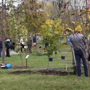 ЖУРНАЛИСТЫ ОСВЕТИЛИ ПРОШЕДШУЮ В НЕВИННОМЫССКЕ ПАТРИОТИЧЕСКУЮ АКЦИЮ